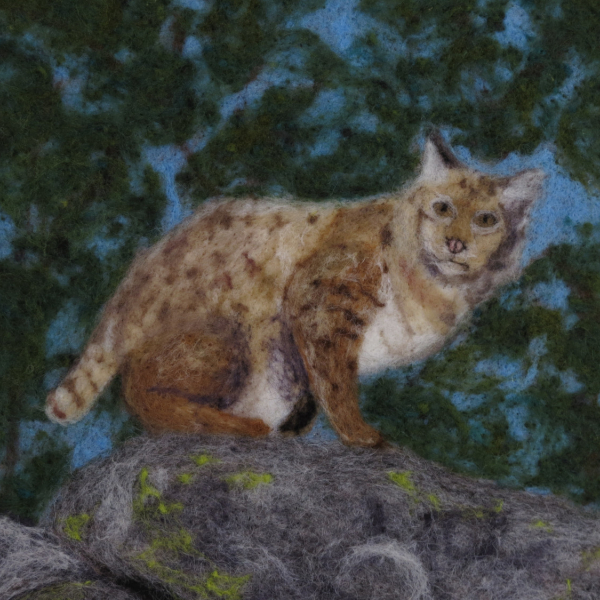 Bobcat Needle Felted Wool Painting