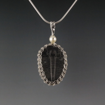 Trilobite Fossil Pendant Necklace Sterling Silver Viking Knit Wire Wrapped Trilobite Fossil Pendant Necklace Sterling Silver Viking Knit Wire Wrapped